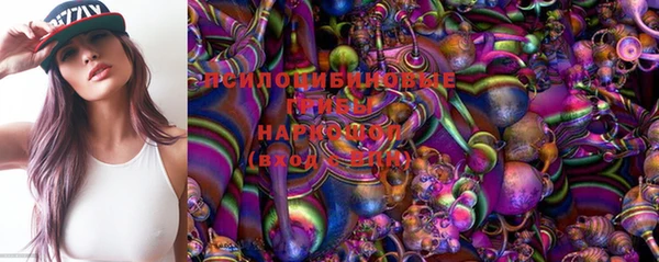 трава Арсеньев